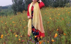 国产又色又爽又黄又免费的小说